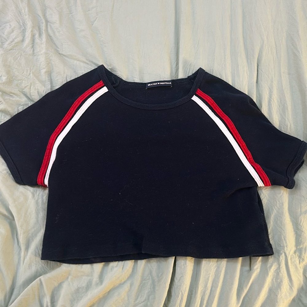 Brandy Melville crop top